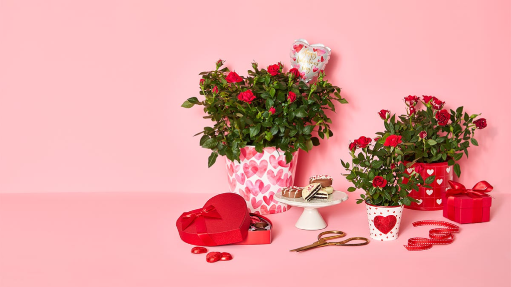 10 Unique Valentine&apos;s Day Gifts from 1-800-Flowers for Everyone You Love