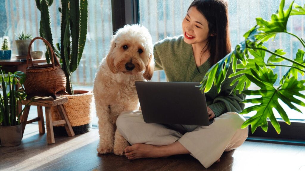 Best Pet Insurance Companies for 2025