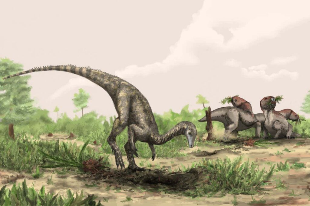 Dinosaurs may first have developed in the Sahara and Amazon rainforest