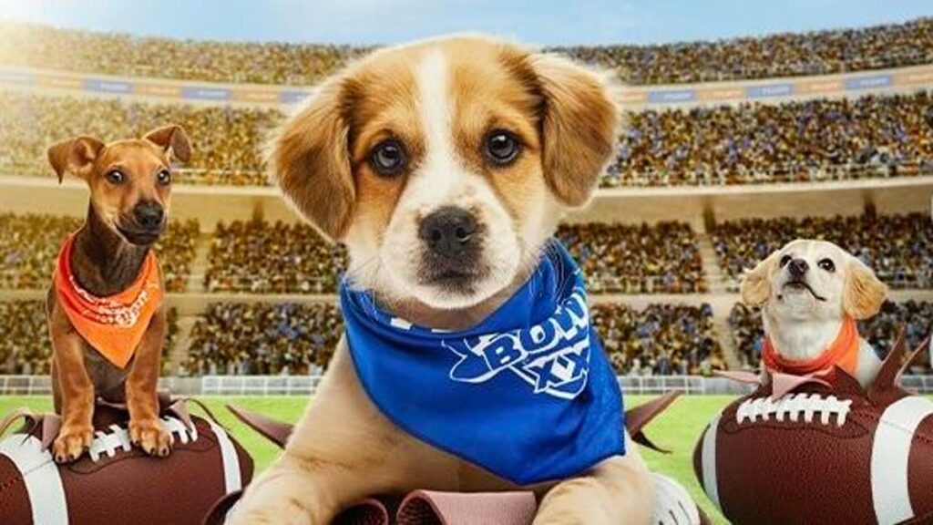 Puppy Bowl 2025: How to Stream the Canine Competition From Anywhere