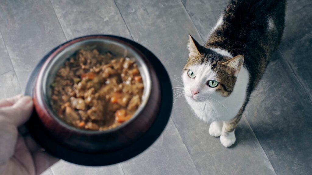 Another cat food remembered for possible birdcrop contamination